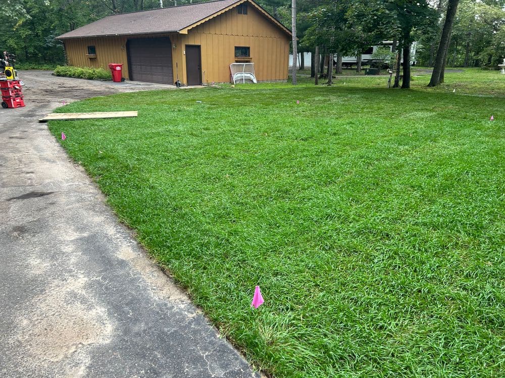 Lawn with pink flags marking area near a yellow garage in a wooded setting.