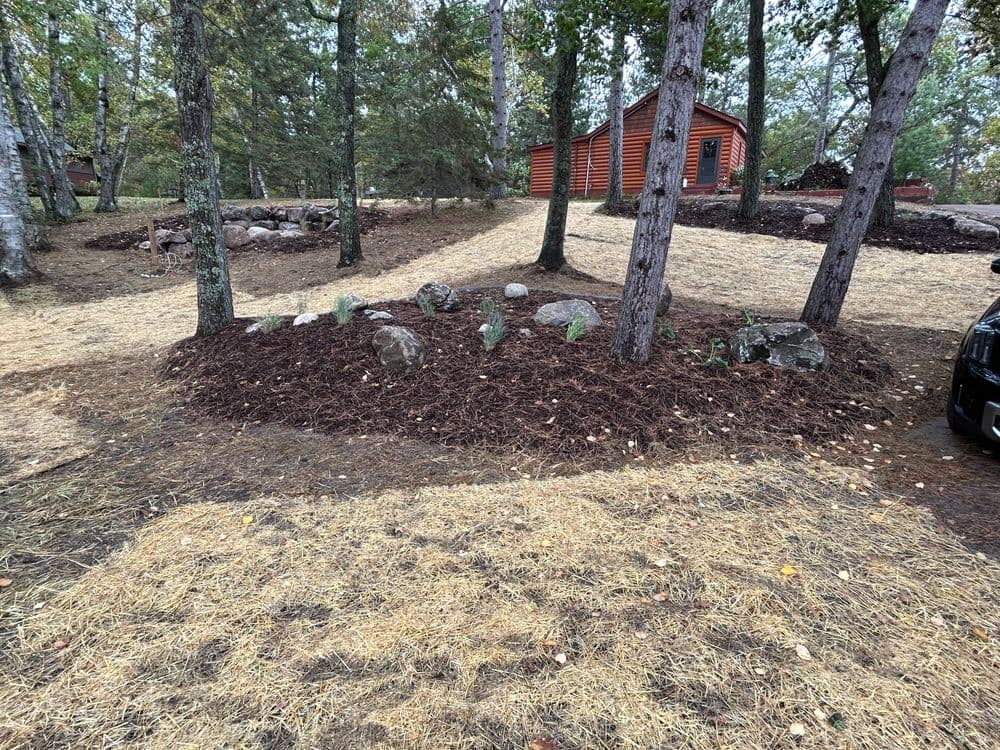 Landscaped area with mulch, rocks, and plants among trees near a cabin in a wooded setting.