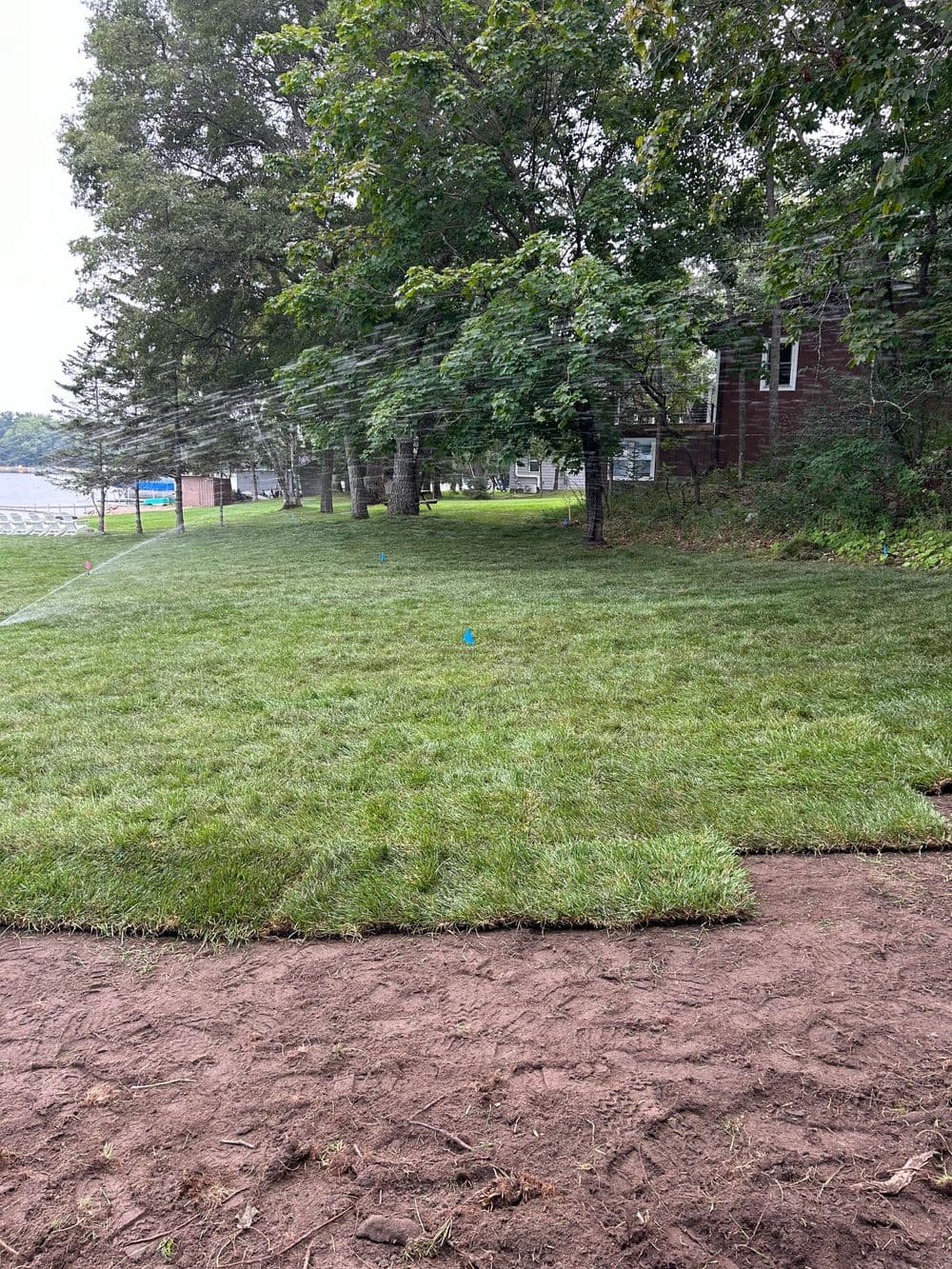 Lush green lawn installation by a lakeside, surrounded by trees and a rustic house.