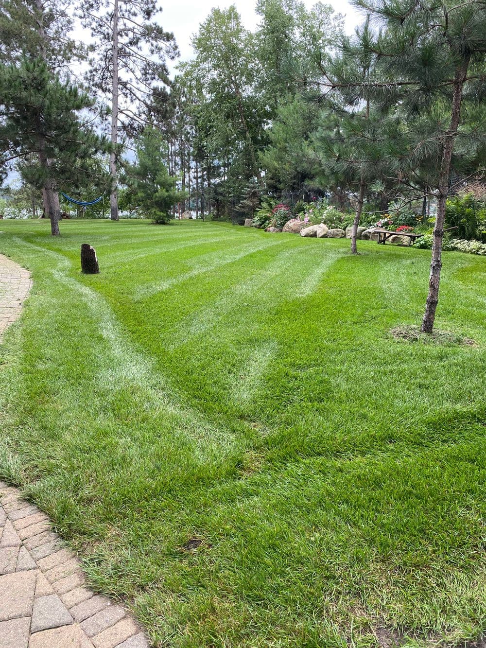 Well-manicured green lawn with mowing stripes, surrounded by trees and garden flowers.