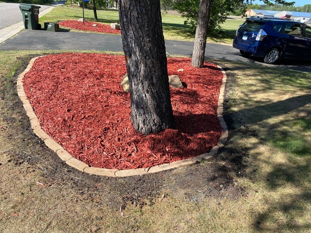 Red mulch landscaping around a tree, featuring stone borders and a driveway in the background.