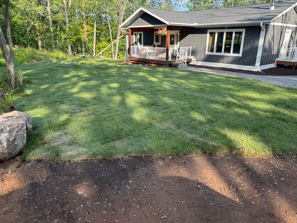 Newly landscaped lawn with fresh grass in front of a modern home surrounded by trees.