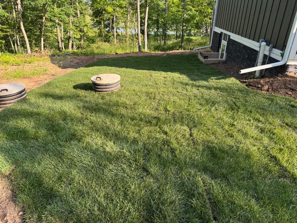Newly installed green sod in backyard with trees and house visible in the background.