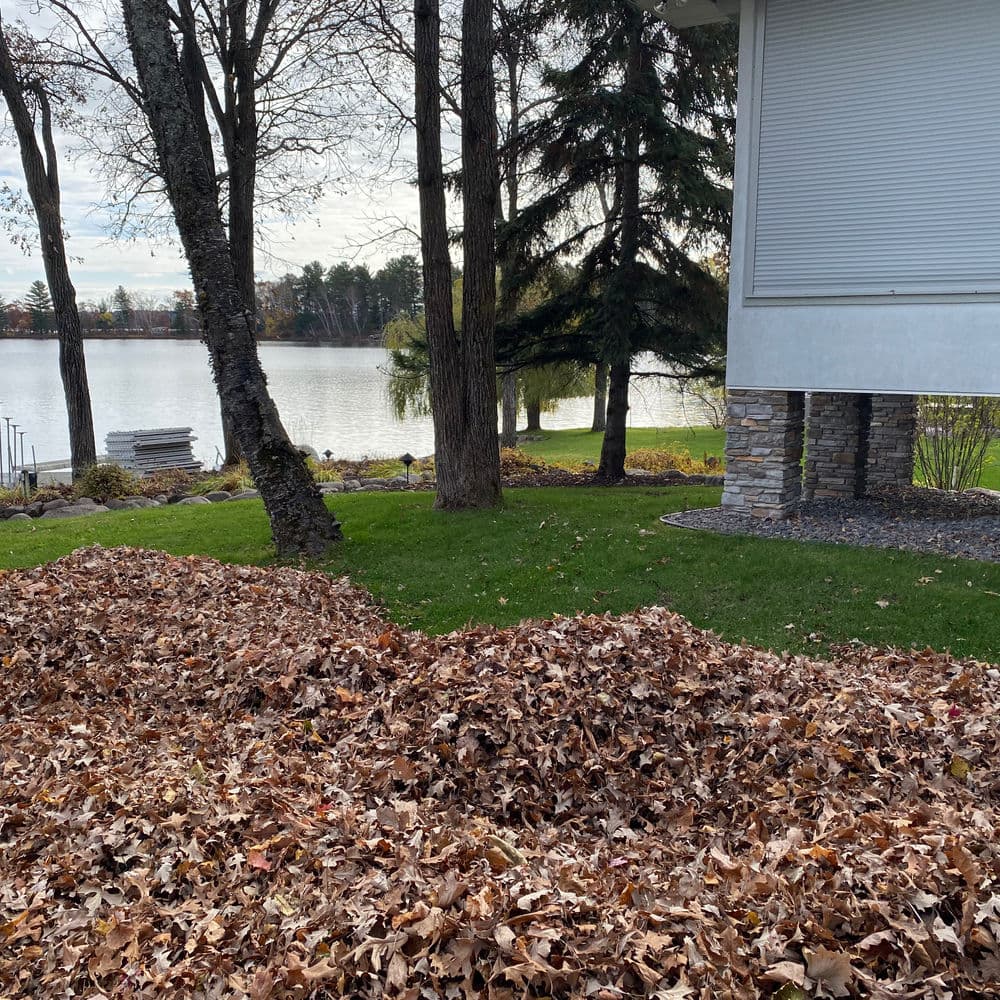 Lawn with a pile of autumn leaves beside a serene lake and trees in the background.