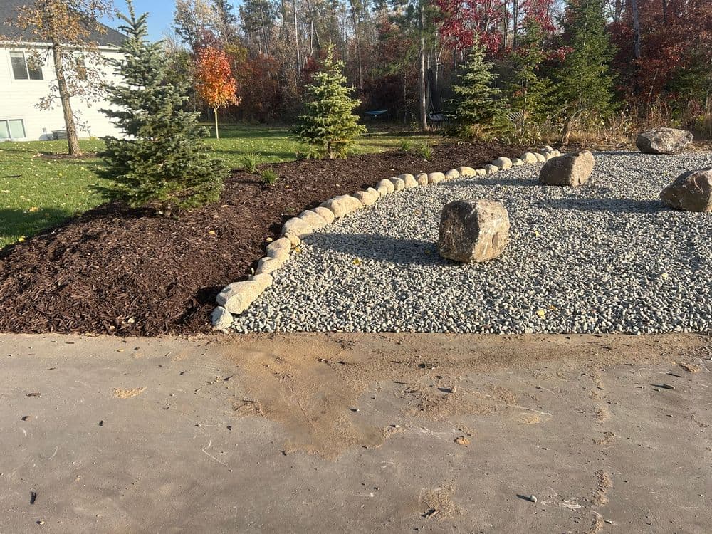 Landscaped garden featuring gravel, rocks, pine trees, and mulch in a sunny backyard setting.